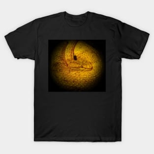 Eyelash viper T-Shirt